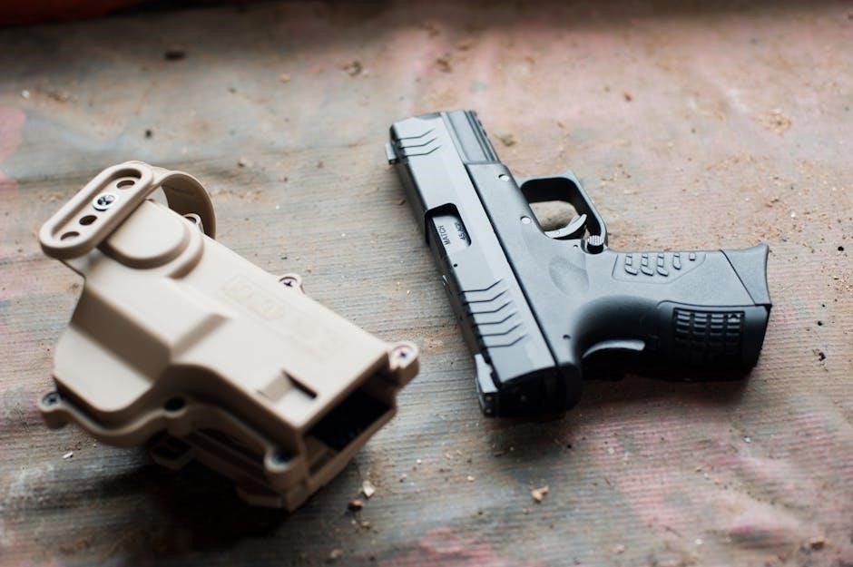 holosun eps carry manual